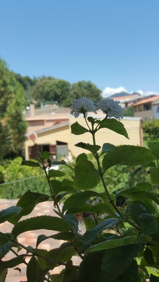 Il Girasole Bed and Breakfast Domus De Maria Buitenkant foto
